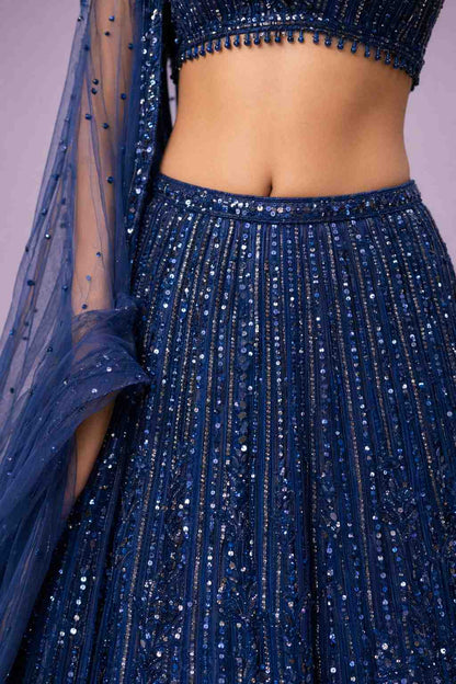 Net Lehenga Set with Sequins & Dori Work